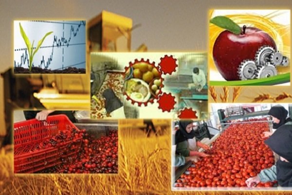 ظرفیت فرآوری محصولات کشاورزی گیلان به ۱.۷ میلیون تن افزایش یافت
