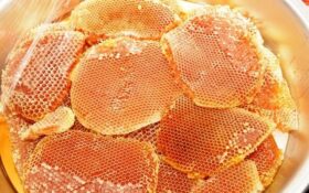 افزایش درآمد زنبورداران در گرو برندسازی عسل گیلان