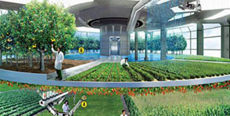 آمادگی سازمان انرژی اتمی برای راه‌اندازی کشاورزی هسته‌ای در گیلان