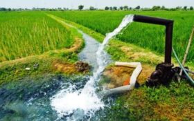 قطعی ۴۸ ساعته آب کشاورزی در بخش مرکزی گیلان