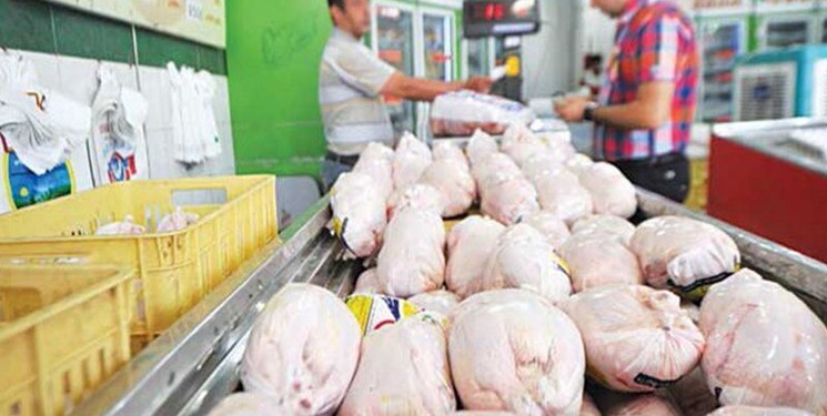 تولید ۱۰ درصد مرغ کشور در گیلان/کمبود مرغ در گیلان وجود ندارد