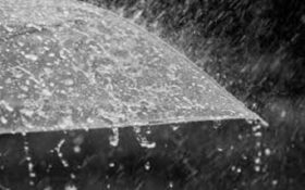بارش باران در گیلان/ شالیکاران تمهیدات لازم را پیش بینی کنند