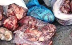 کشف بیش از ۲۰۰ کیلوگرم گوشت فاسد در رودبار