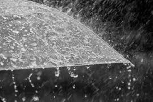 باران در راه گیلان/ شالیکاران محصول خود را برداشت کنند