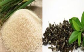 واردات برنج و چای در فصل برداشت خیانت به مردم شمال کشور است/تحقیقات در گیلان عملاً تعطیل است