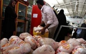 توزیع بیش از ۵۵۰۰ تن گوشت مرغ به نرخ مصوب در گیلان