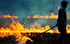 ‌جریمه نقدی برای آتش زدن بقایای محصولات کشاورزی/ آتش زدن کاه سبب تشدید بیماری‌های تنفسی می‌شود