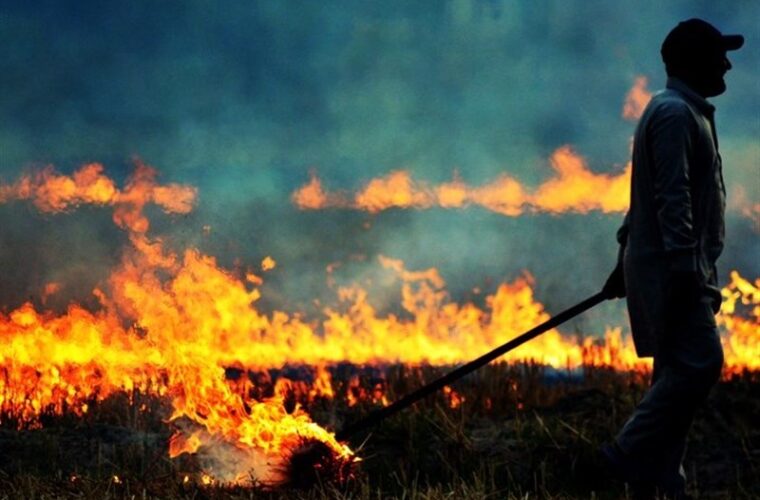 ‌جریمه نقدی برای آتش زدن بقایای محصولات کشاورزی/ آتش زدن کاه سبب تشدید بیماری‌های تنفسی می‌شود