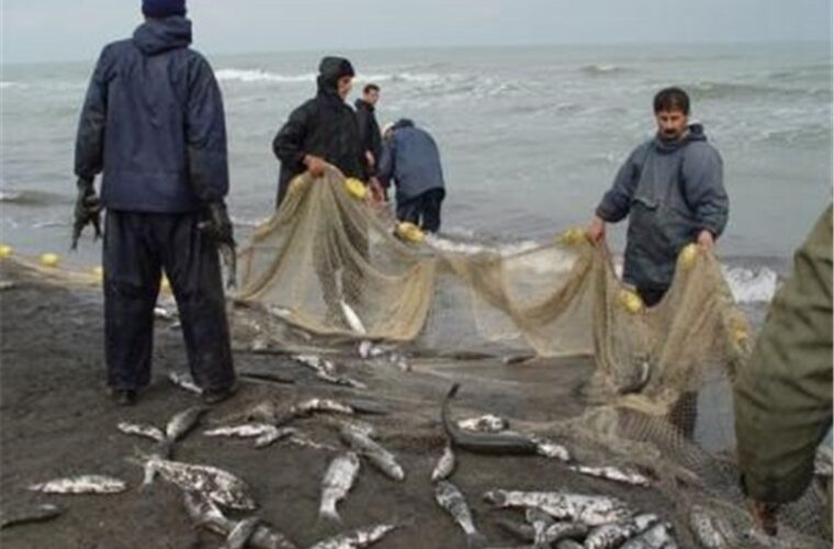 پیش‌بینی صید ۲۰۰۰ تن ماهی استخوانی از دریای خزر در سال ۹۹؛ مشکل بیمه صیادان گیلانی حل می‌شود