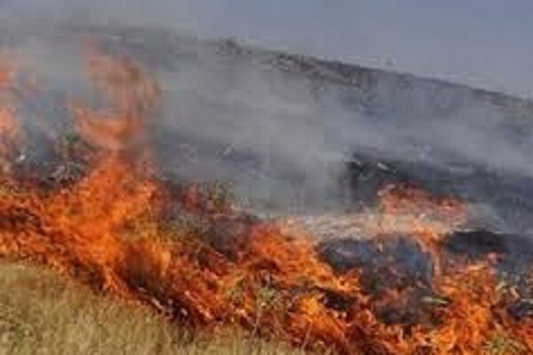 آتش سوزی در ۱۰ هکتار از اراضی ارتفاعات ماسال/ با مرکز اطفای هوایی هماهنگی لازم انجام شد
