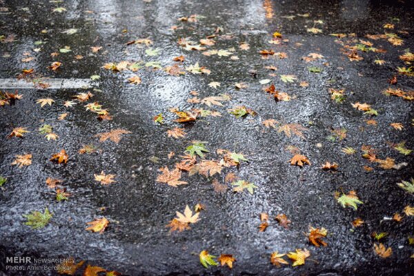 آغاز بارش باران و وزش باد در گیلان/ دمای هوا کاهش می یابد