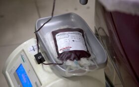 اهدای ۳۲۰۰ واحد خون در گیلان/ ۸ درصد اهداکنندگان بانوان هستند
