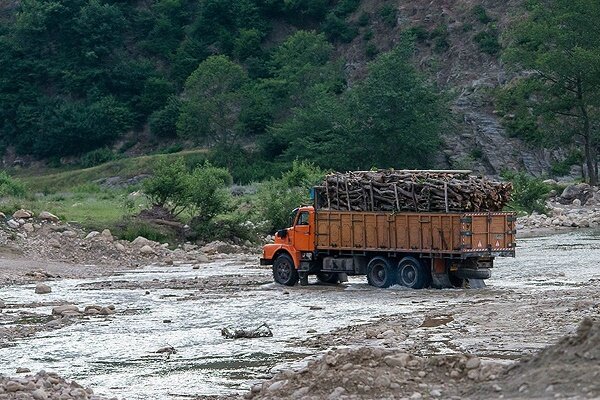 تشدید مقابله با قاچاق چوب آلات جنگلی در گیلان/ لزوم حفاظت از هیرکانی