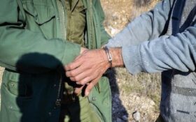 دستگیری شکارچی حرفه‌ای در تالاب بین‌المللی انزلی