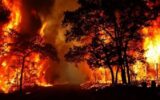 وقوع ۱۳۷ فقره حریق در گیلان/ بیشترین آتش سوزی در رودبار رخ داد