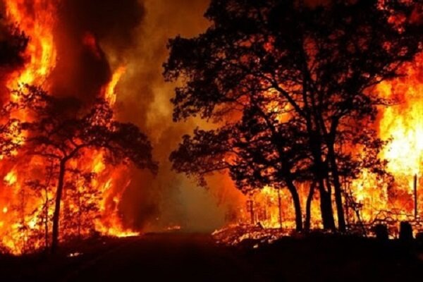 وقوع ۱۳۷ فقره حریق در گیلان/ بیشترین آتش سوزی در رودبار رخ داد