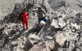 نجات دامدار ۷۰ ساله از ارتفاعات صعب العبور رودبار