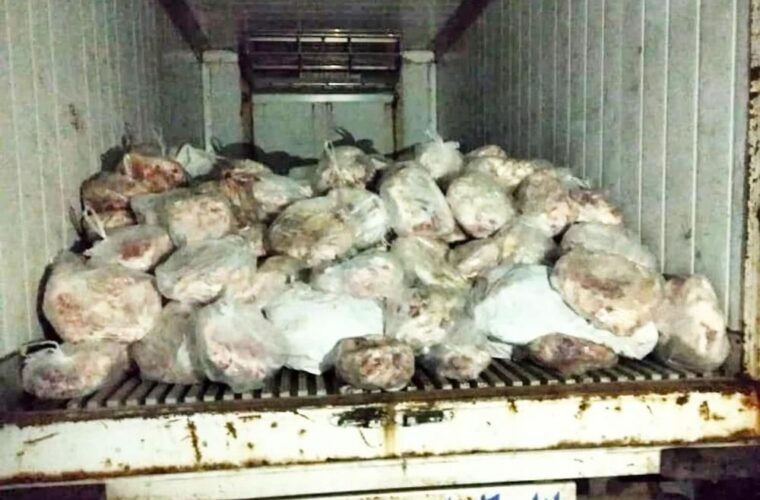 کشف ۱۳۳۰ کیلوگرم گوشت و مرغ فاسد از سردخانه‌های بازار رشت