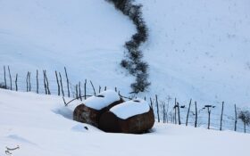 بارش شدید برف در گیلان؛ رانندگان تجهیزات زمستانی همراه داشته باشند