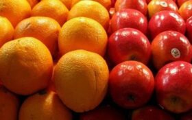 آغاز توزیع میوه شب عید در گیلان/ اقلام اساسی ۲۰ درصد کمتر از قیمت بازار به فروش می‌رسد