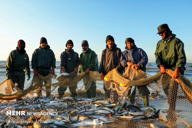 مهلت صید ماهیان استخوانی از دریای خزر تا ۲۰ فروردین تمدید شد