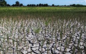 ماجرای پرداخت ۴۰۰ میلیاردی تنخواه برای حل مشکل آب کشاورزی و آشامیدنی