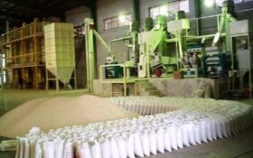 کاهش ۴۰ هزار تنی ضایعات برنج با نوسازی کارخانه های شالیکوبی