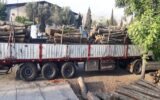 کشف ۱۰۰ اصله چوب جنگلی قاچاق در لوشان