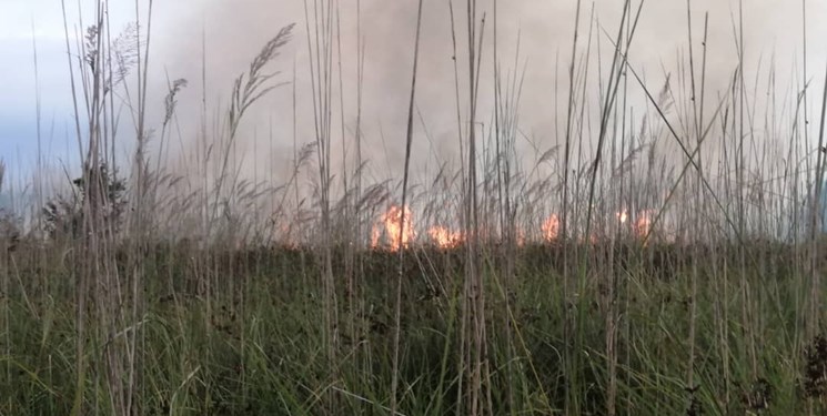 اطفای آتش‌سوزی در اراضی ملی گیلان