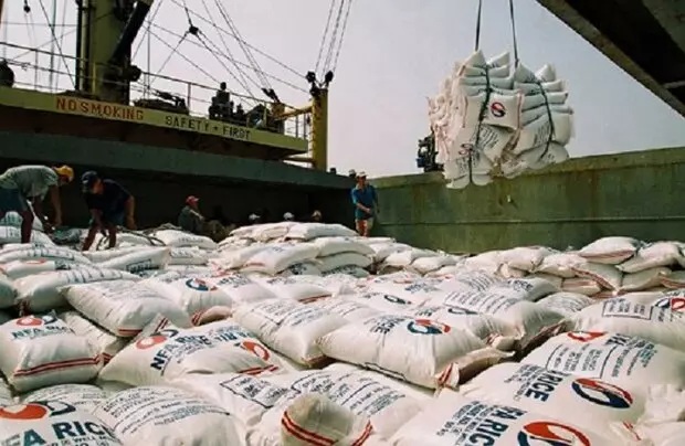 ممنوعیت واردات برنج برای حمایت از تولید داخل ضروری است