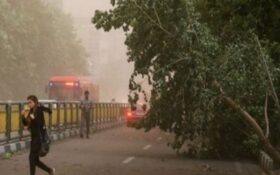 هواشناسی از وزش باد گرم شدید در گیلان هشدار داد/ افزایش چشمگیر دما و احتمال آتش‌سوزی جنگل‌ها