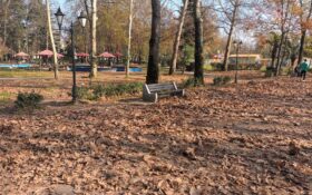 ایجاد گذرهای پاییزه برای شهروندان در پارک شهر رشت