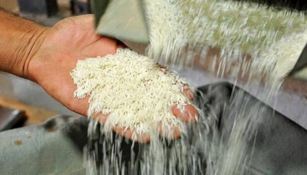 برنج حکم طلا گرفت/ نبض بازار در دست دلال‌ها