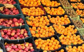 ۴۵۰ تُن میوه شب عید در گیلان توزیع می شود/ پیش بینی ۵۰ مرکز فروش