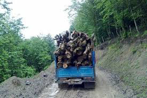 ۴۳ درصد پرونده های قاچاق در تعزیرات حکومتی گیلان مربوط به چوب است