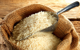 کاهش ۴۵ هزار تنی ضایعات برنج سفید در گیلان/ احداث ۱۸۰ گلخانه محصولات کشاورزی