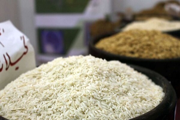 قیمت برنج بومی رو به کاهش است