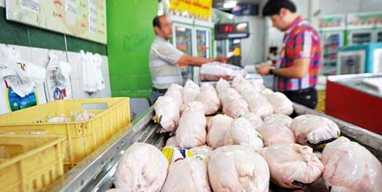 توضیحات رئیس جهاد درباره شایعات کمبود مرغ در بازار/ کمبود مرغ نداریم