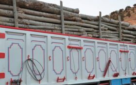 کشف ۶.۵ تن چوب قاچاق در شهرستان رودبار