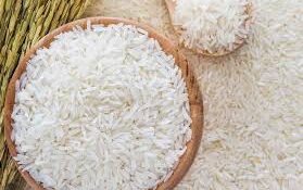 نباید سود فروش برنج به جیب دلالان برود