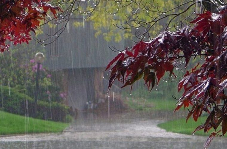 تداوم بارش باران تا عصر امروز در گیلان
