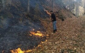 مهار آتش سوزی در۷ هکتار از اراضی مناطق ییلاقی و کوهستانی املش