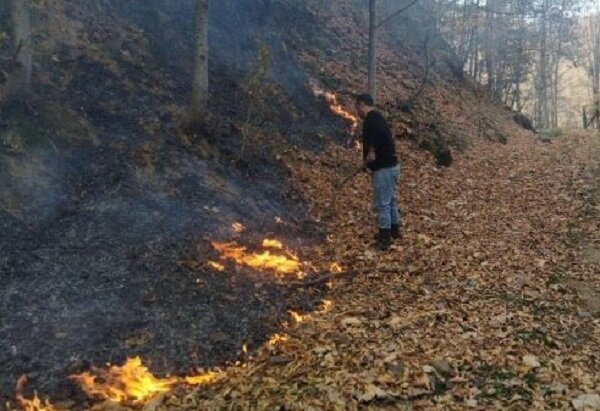 مهار آتش سوزی در۷ هکتار از اراضی مناطق ییلاقی و کوهستانی املش