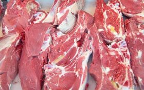تولید ۱۴۰۷ تن گوشت قرمز توسط عشایر گیلان/ راه اندازی بازار محصولات عشایری