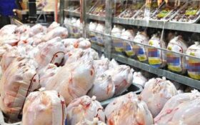 ذخیره ۱۷۰۰ تُن مرغ مازاد برنیاز بازار در سردخانه‌های استان گیلان