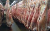 تولید ۲۳ هزار تُن گوشت قرمز در استان گیلان