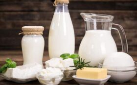 هزینه بالای تولید شیر؛ دغدغه دامداران گیلانی