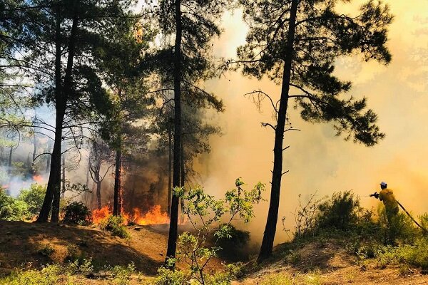 مسافران از برافروختن آتش در مناطق جنگلی گیلان خودداری کنند