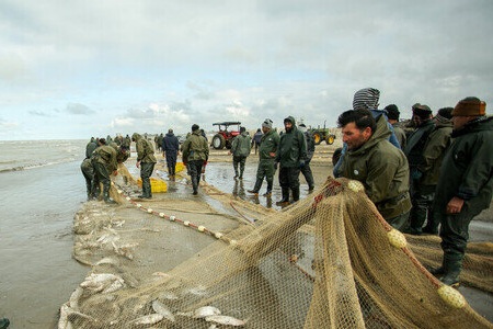 صید ۴۰۰ میلیاردی ماهیان استخوانی خزر در گیلان/ تداوم صید تا ۲۰ فروردین