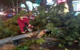 اعزام تیم آتش نشانان به بیش از ۱۲ حادثه سقوط درخت و حریق در رشت
